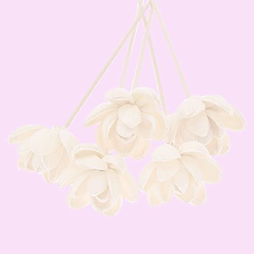 Set de 5 palitos difusores florales de ratán y madera miniatura 2