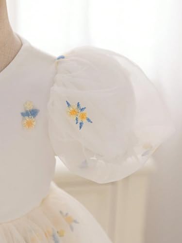 Image of TAGAS Girls Tagas Girls Dress| Girls Frock | Party Dress for Girls |Kids Cloth|
