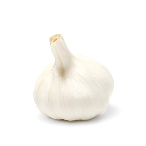 Christopher Ranch, Garlic Elephant, 1 Each
