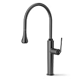 ANW HOME Rubinetto cucina con doccetta estraibile, grafite opaco, inox