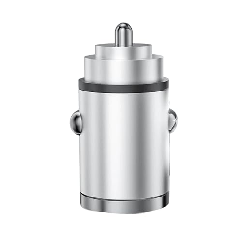 100W �^�C�v C �[�d�A�_�v�^ �����I�ȓd�� ���s�ɗD�����[�d ���b�v�g�b�v����ьg�ѓd�b�p �|�[�^�u��