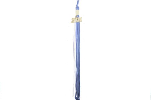 mountain of books Graduation Tassel with 1995 Year Charm (Royal Blue and White)