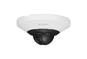 Sony Network Surveillance Camera - Dome - Color (Day&Night) - 1.3 MP - Composite - LAN 10/100 - MPEG-4, H.264 - PoE