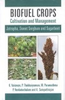 Biofuel Crops: Cultivation and Management (Jatropha, Sweet Sorghum and Sugarbeet)