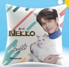 BrightWin Nekko ねっこbright クッション 2gether② Amazon.co.jp: 2gether Bright クッション Nekko ねっこ Ame