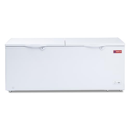 WESTLAKE 30 Cu.Ft Commercial Freezer