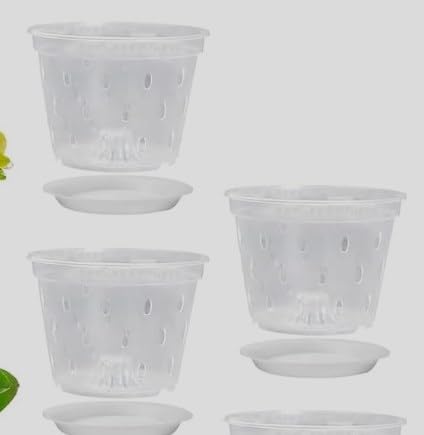MAKTSAM 6 macetas transparentes para orquídeas, macetas de plástico de 14 cm con agujeros y platillos, maceta de orquídeas ranurada transpirable para interiores y exteriores, hogar, escritorio, balcón