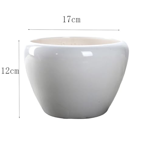 Pots de fleurs en céramique pour succulentes et orchidées - 3