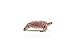 Schleich Wild Life - Wild Animal Toy Hawskbill Sea Turtle Ocean Animal Figurine