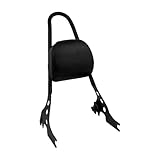 Le porte-bagages arrière de moto est l'accessoire le plus important pour fixer le top case indispensable en voyage. Grâce à notre porte-bagages arrière moto, vous pourrez voyager en toute sécurité en fixant vos sacs. Cela permet également à votre rehausseur de s'asseoir et de rouler confortablement.