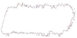 SENNLR OIL PASTEL WHITE