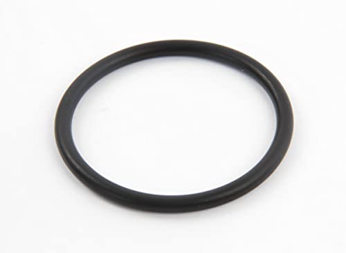 Hayward - Joint torique Plat de traversée pour Filtre à Sable Side de Piscine - Noir - SX0360Z1