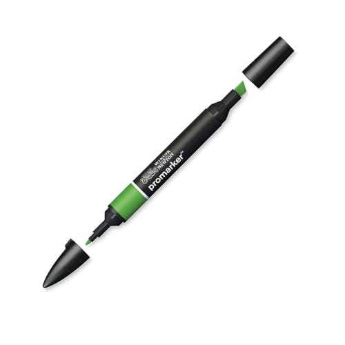 Image of Winsor & Newton Promarker, Alcohol Based Markers, Forest Green (G356), Double Tipped Drawing Marker Set for Artists, Graphic Designers, Illustrators - Chisel & Fine Twin Tip, Streak Free Coverage