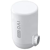 IVO