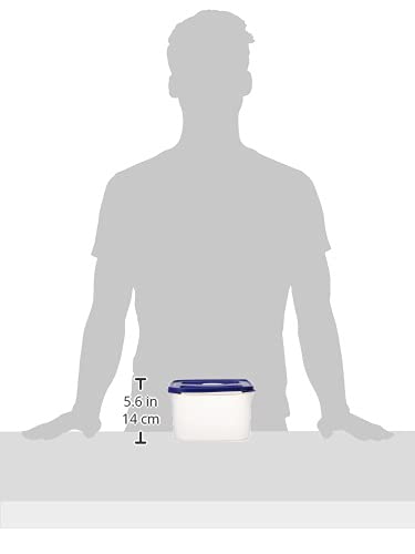 Amazon Brand - Solimo Square Modular Plastic Container, Set of 2 (3 Litres Each), Blue