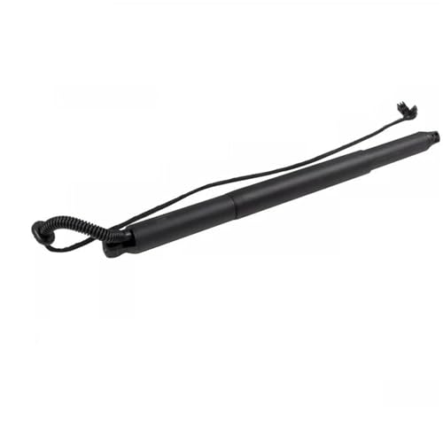 Vérin de coffre électrique fluide pour hayon arrière de BMW X6 E71 E72 2008-2014