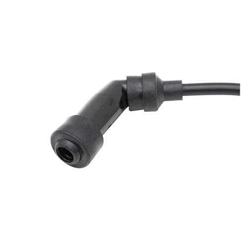 Bobina de encendido para restaurar el motor de motos DF200 y DR125 5