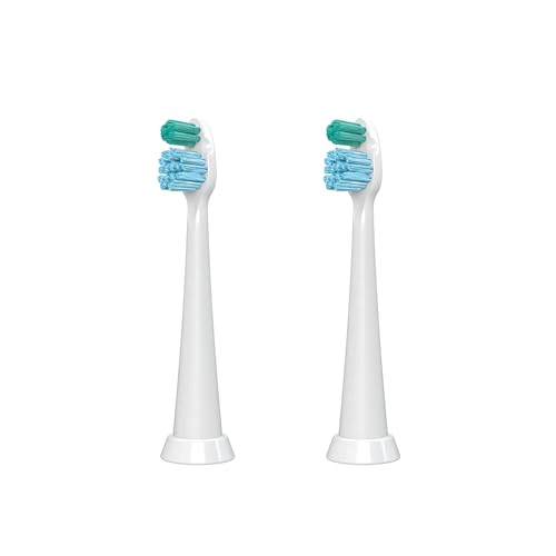 Image of TAO Clean Sonic Electric Toothbrush Replacement Heads (2-Pack) - Orthodontic Head - Replacement Heads for the TAO Clean Electric Toothbrush and Docking Station