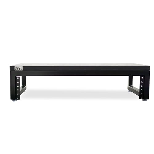 LYYL Desktop Rack Stand 2U Rack for Audio Equipment and Stand for Speaker or Display