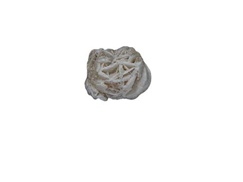 Rose du désert Maru Pushpa pierre semi-précieuse rare de 13,7 carats pour collectionneur