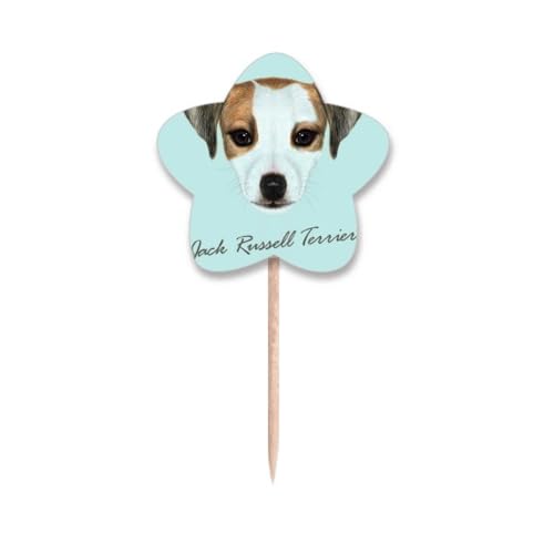 Cure-dents Jack Russell drapeau étoile idéal pour occuper votre chien au salon