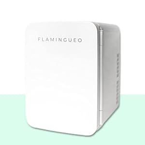 Flamingueo Vintage Draagbare Koelkast – Kleine Koelkast 10L, Mini Cosmetische Koelkast 12V/220V voor Kamer Decoratie, Kantoor, Koeling en Verwarming Functies, Kleine Retro Draagbare Mini-Koelkast