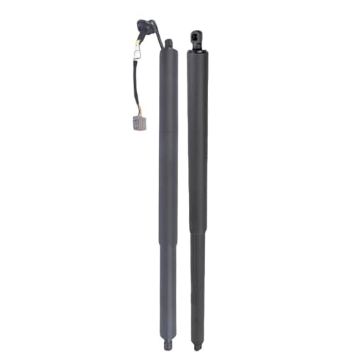 Support de levage GB5Z14B351A Ford Explorer vérin de hayon