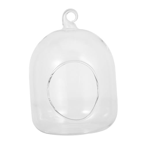 ibasenice Plant Terrarium: Low Maintenance Air Planter Bulb for Hydroponics - Creative DIY Plant Kit for Office Desk Decor - Moss Terrarium Glass Bottle