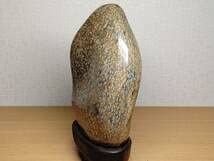 花紋石 524g 錦石 碧玉 ジャスパー 紋石 菊花石 水石 鑑賞石 自然石 花紋石 524g 錦石 碧玉 ジャスパー 紋石 菊花石 水石 鑑賞石 自然石