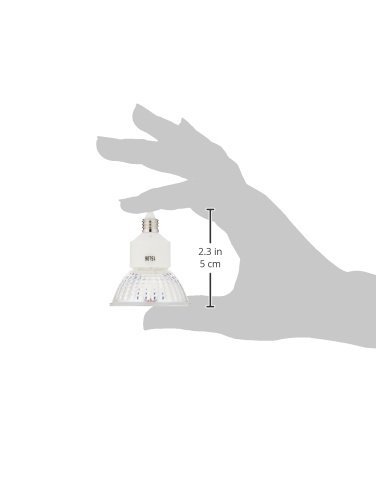 Amazon | 岩崎 ハロゲン電球 JDR110V30WUV/WK/H2/E11 電球色 | 岩崎