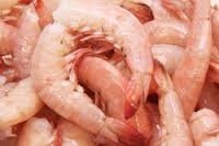 Key West Pink Shrimp Medium Wild Caught 36-40 ct Florida seafood 5-20lb 2 LB