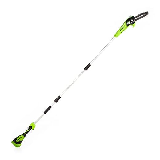 Greenworks PS24B00 8-Inch 24V Cordless Pole Saw, Tool