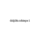 Dolphin