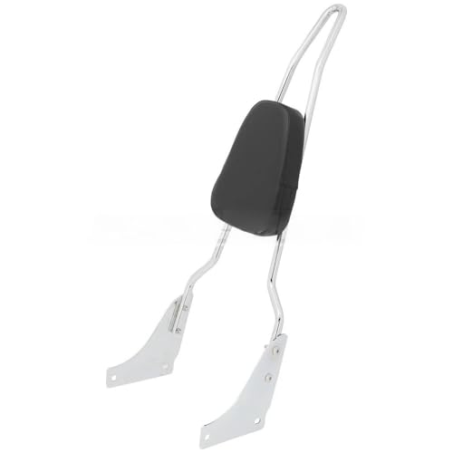 Dossier de moto pour VT1100 idéal pour les balades en duo Shadow