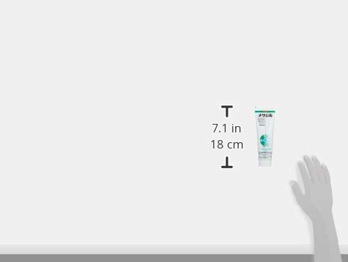 Amazon.co.jp: フジタ製薬 (ABTJY) フジタ製薬 メサジル 犬猫用 120.5g