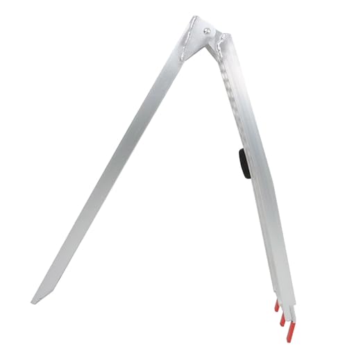 Juego de 2 rampas plegables de aluminio para carga, 750 lbs miniatura 2
