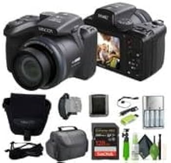 Amazon.com : MINOLTA MN40Z 20 Mega Pixels 40x Optical Zoom Digital