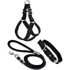 BR Pull Dog Harness - Step in Dog Harness and Leash for Small Medium Large Dog - Escape Proof Adjustable Soft Dog Harness Leash Collar Set for Walking Training Hiking Outdoor (B0D33SL99T) Amazon Price History, Amazon Price Tracker