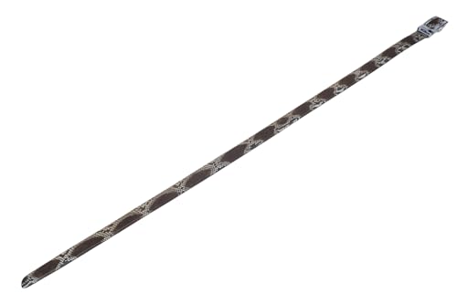 Image of Pelgio Genuine Python Snake Skin Auto Locking Men's Belt 46 inch Long