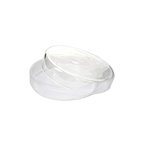 KENZIUM - Pack 10 x Placas de Petri | Diámetro 80 mm | Vidrio Borosilicato 3.3 | Ideal para Laboratorio y Educación Cover
