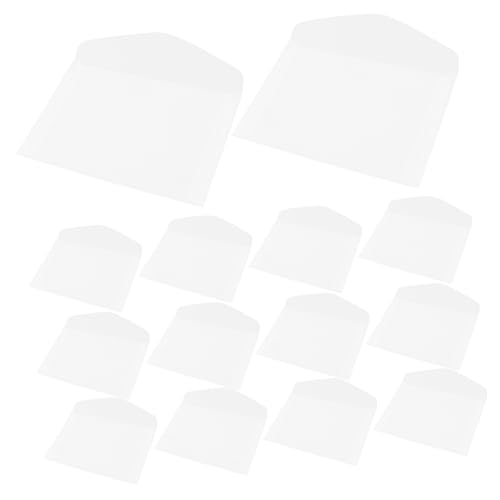 HAPINARY Professional Flower Pressing Bag Kit 20pcs Absorbent Pouches Plant Pressing Tool for Dried Flowers Leaf Storage