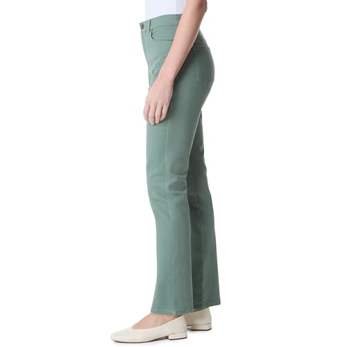 Image of Gloria Vanderbilt Womens Amanda Classic High Rise Tapered Jean Petite