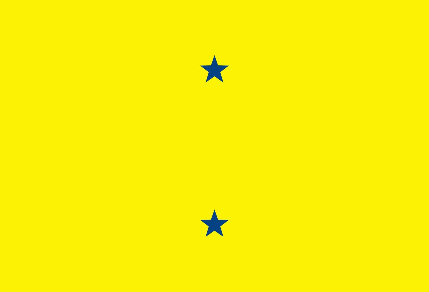 Drapeau Large Brazil Consul 1.35m² pour vibrer au rythme du Brésil
