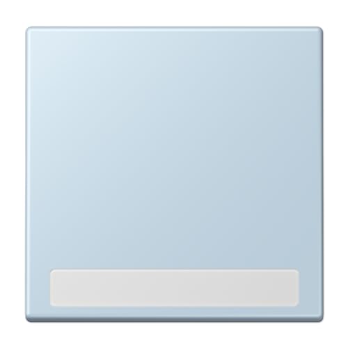 Touche simple LC32022 solution interrupteur illisible JUNG - 2