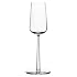 iittala 1008576 Essence Champagne Pair Set (Set of 2)