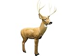Rinehart Signature Mule Deer 3D Archery Target | Realistic Western Mule Deer with Replaceable Vital Insert | Broadhead & Field Point Compatible | Self-Healing Foam | Made in USA