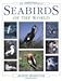 Seabirds of the World: The Complete Reference