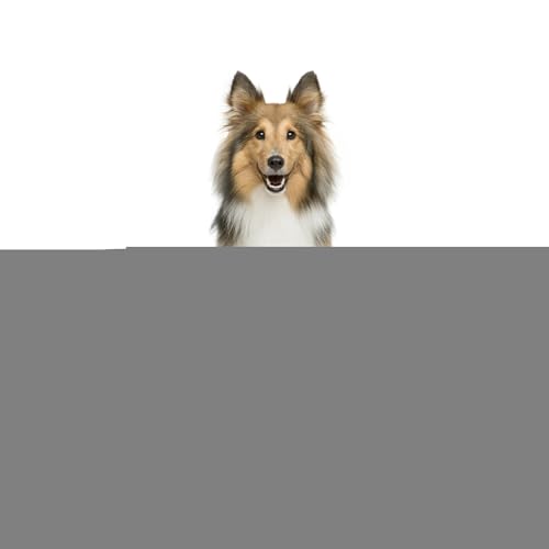 xbhpp}bg - ėp\Ȏqg[jOpbh - ẑybg̃gCg[jOpP[W}bg  O