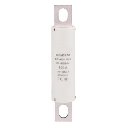 Fusible Rsm2478 10A para solucionar fallos en vehículo eléctrico