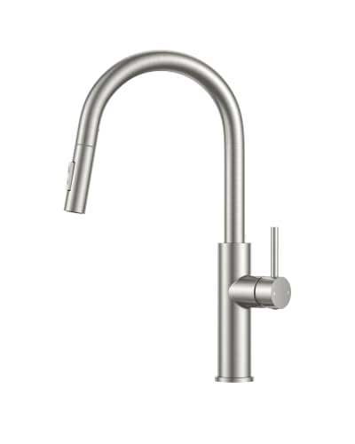 FORIOUS Wasserhahn Küche, Hoher Bogen Ausziehbar Küchenarmatur, Edelstahl